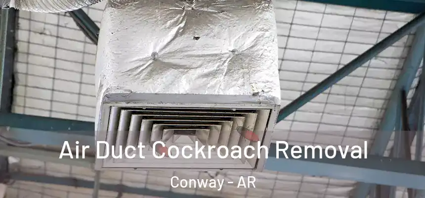 Air Duct Cockroach Removal Conway - AR