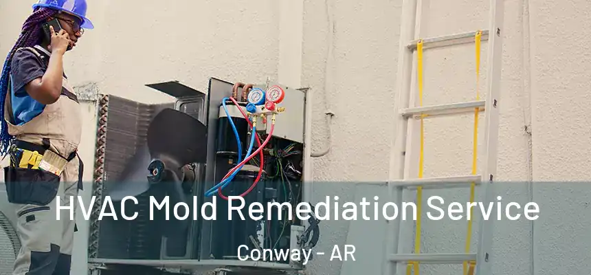  HVAC Mold Remediation Service Conway - AR
