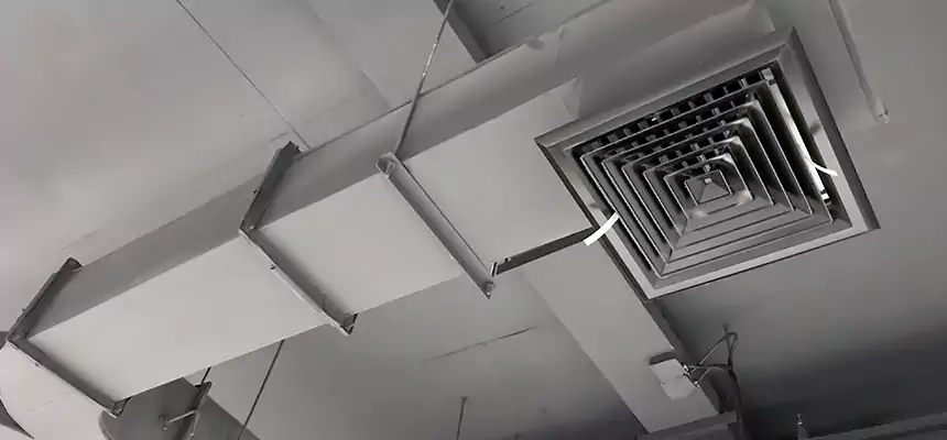 Restorative Allergy Relief Vent Cleaning – Coil, Blower & Housing Detail in Conway