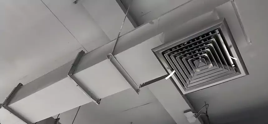 Our Rodent Droppings In Vents Services in Conway, AR