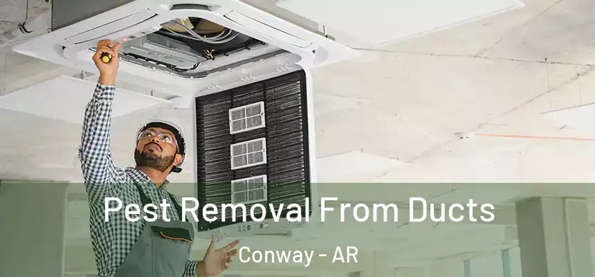 Pest Removal From Ducts Conway - AR