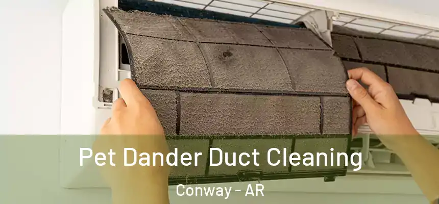 Pet Dander Duct Cleaning Conway - AR