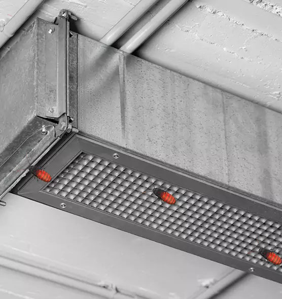 Affordable Insect Removal from Air Ducts in Conway, AR