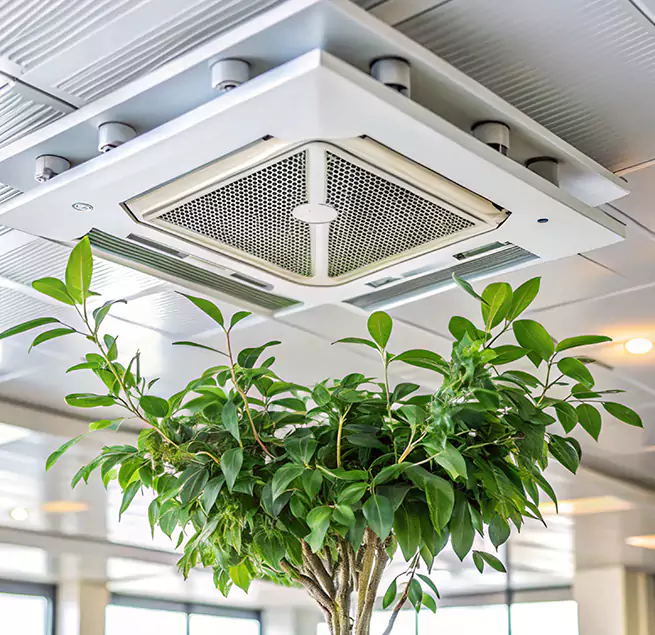 Why Homeowners & Businesses Trust Us in Conway, AR?